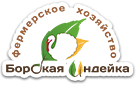 Логотип Рузанов